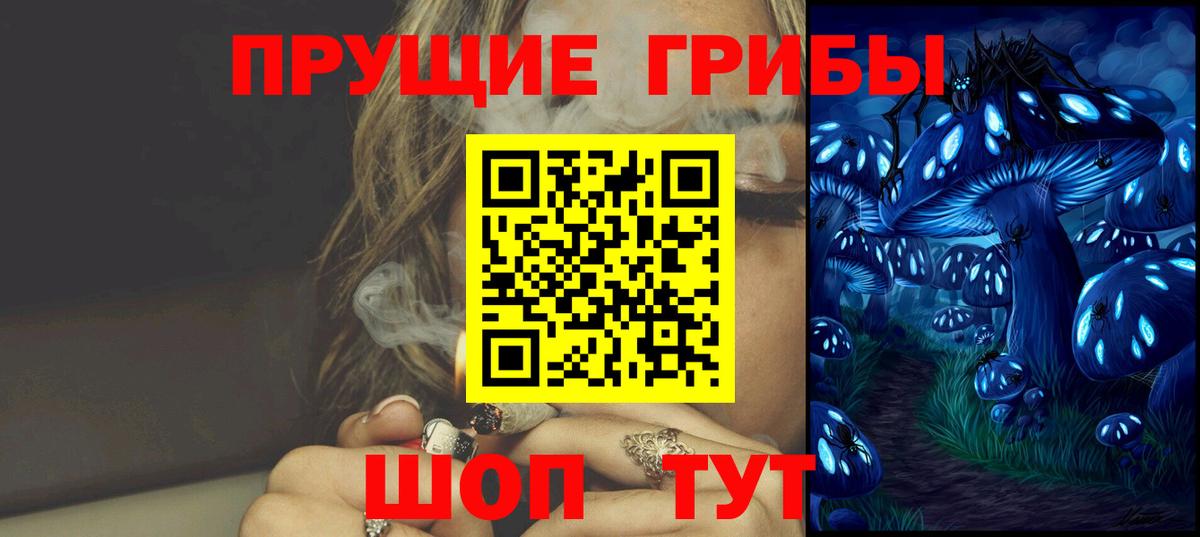 Киселёвск  где купить   Вход с VPN  Псилоцибиновые грибы Cubensis 